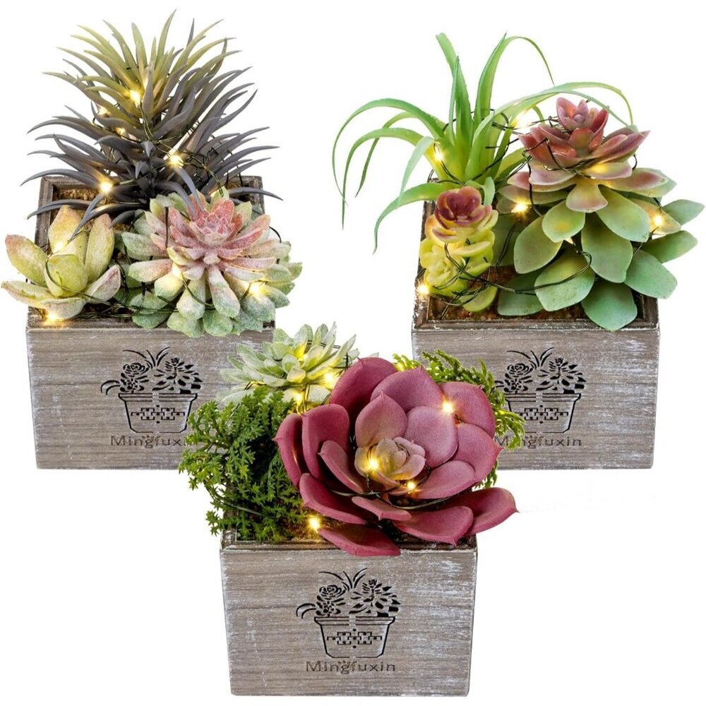 Succulent Plants Artificial 3 Pack Small  Morning Mist in Wood Pot Home Decor